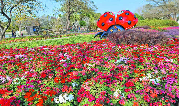 溪州公園的花卉景觀。（圖／李容珍攝影）
