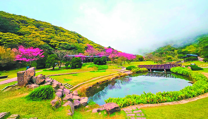 雲霧繚繞的大屯山二子坪步道。（圖/梁敬彥攝影）