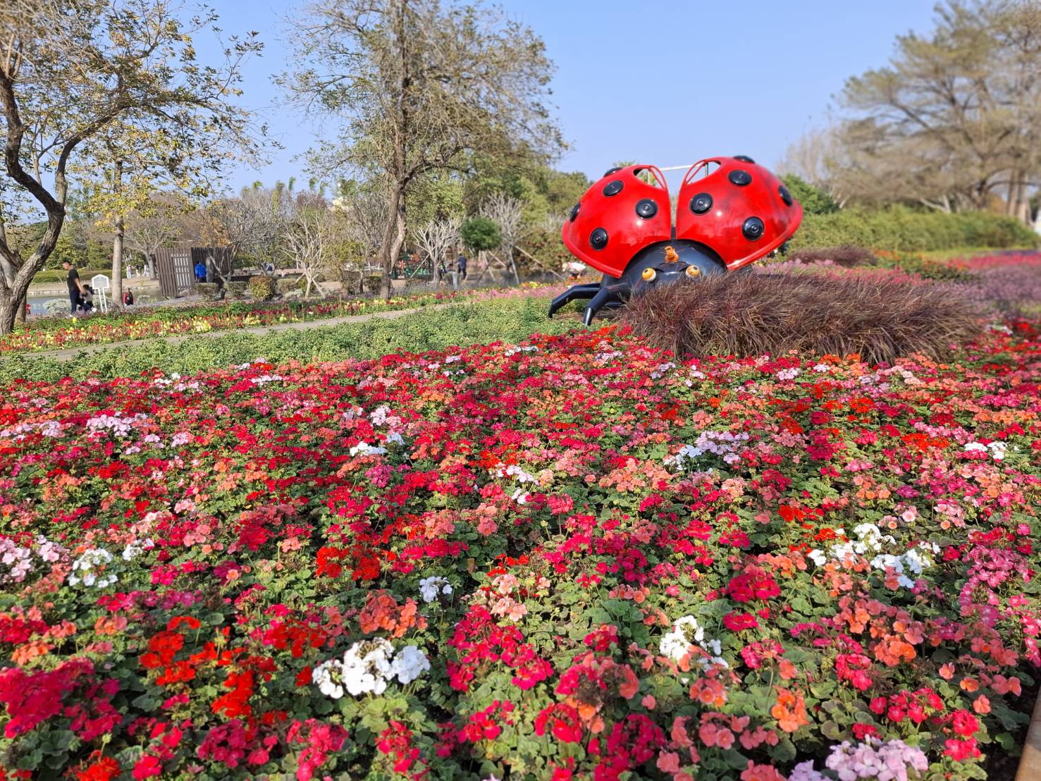 溪州公園的花卉設計。(圖/李容珍攝影)