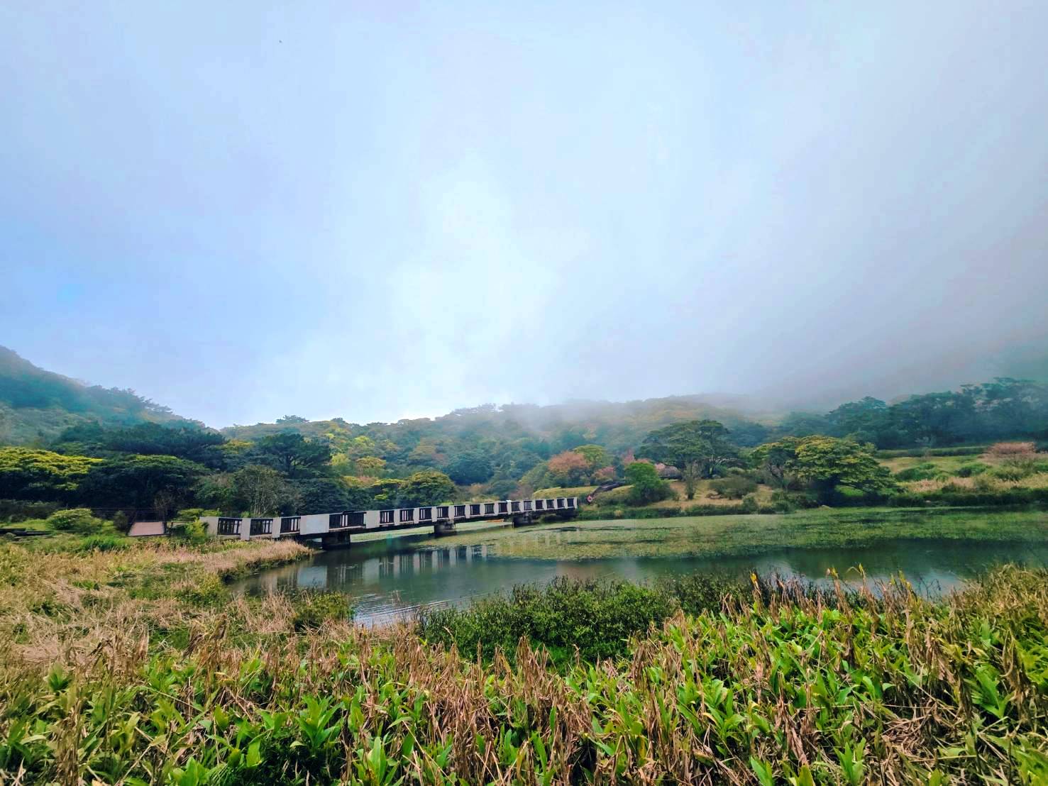 大屯自然公園濕地。(圖/梁敬彥攝影)