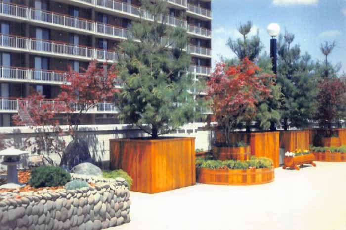 俱有天生美感，園藝設計成了張鳳翔的另一個「舞臺」。