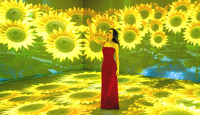 白鷺鷥基金會董事長、導演盧佳慧。(圖/受訪者提供)