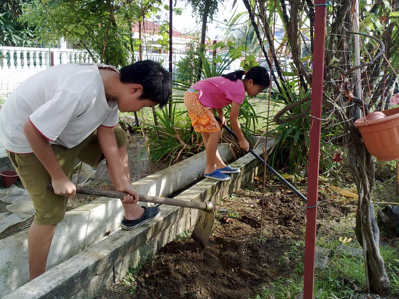 讓孩子學習與體驗如何種植植物