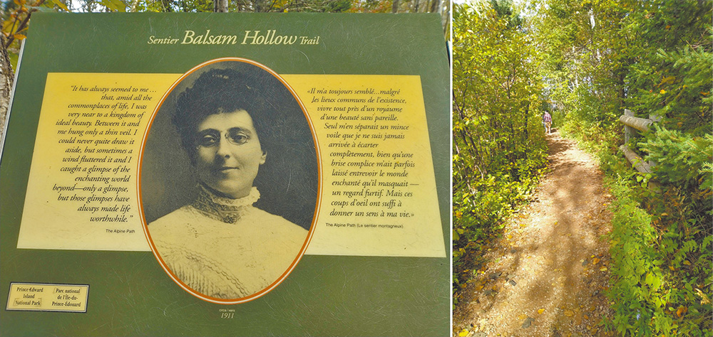屋外步道香脂樹小路（Balsam  Hollow Trail）蒙哥馬利肖像。博物館外有步道可以通往蒙哥馬利的住家。