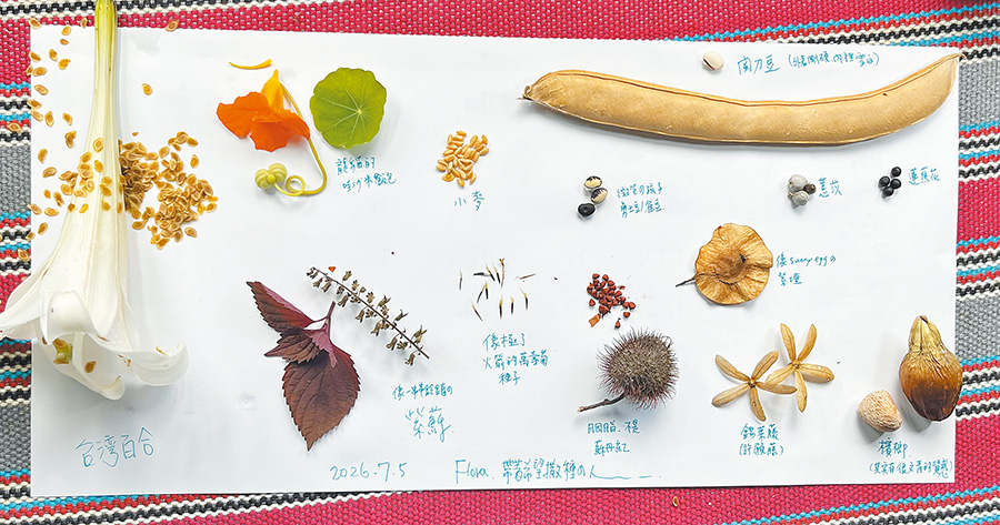 種子圖鑑。（作者提供）