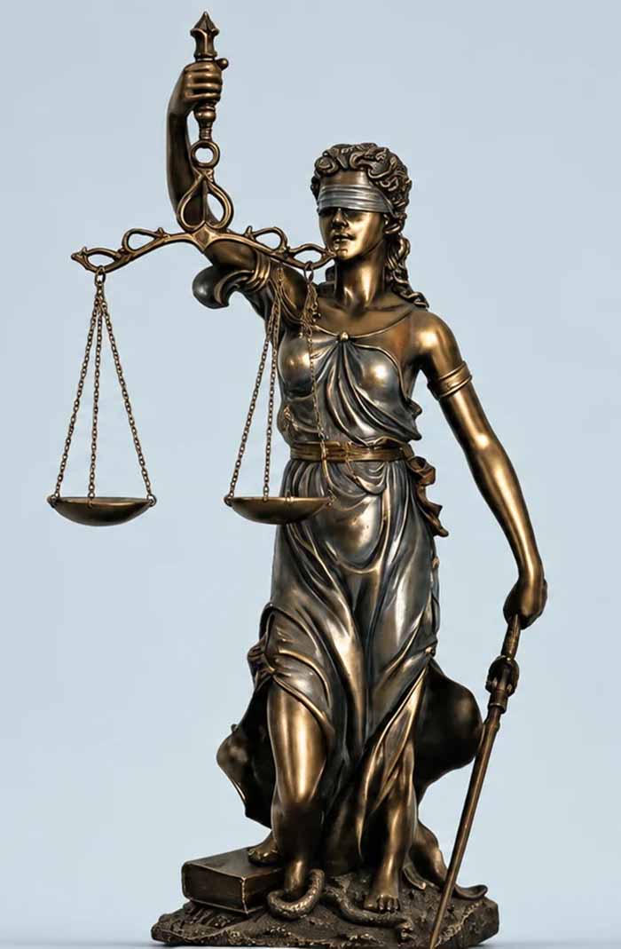 律師,就是一位專業人士,為客戶提供法律相關的諮 詢、辯護、代言,並維護且行使應得的權利