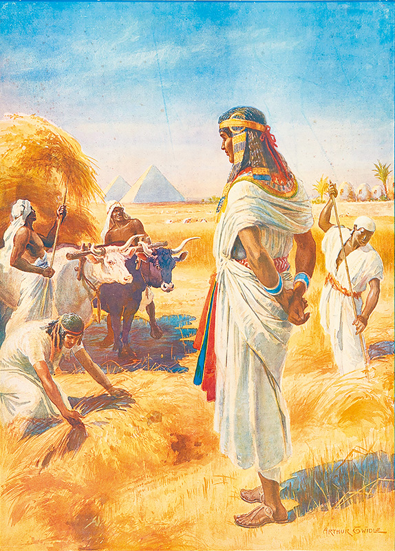 "The rich harvest in Egypt ", by Arthur G Widle