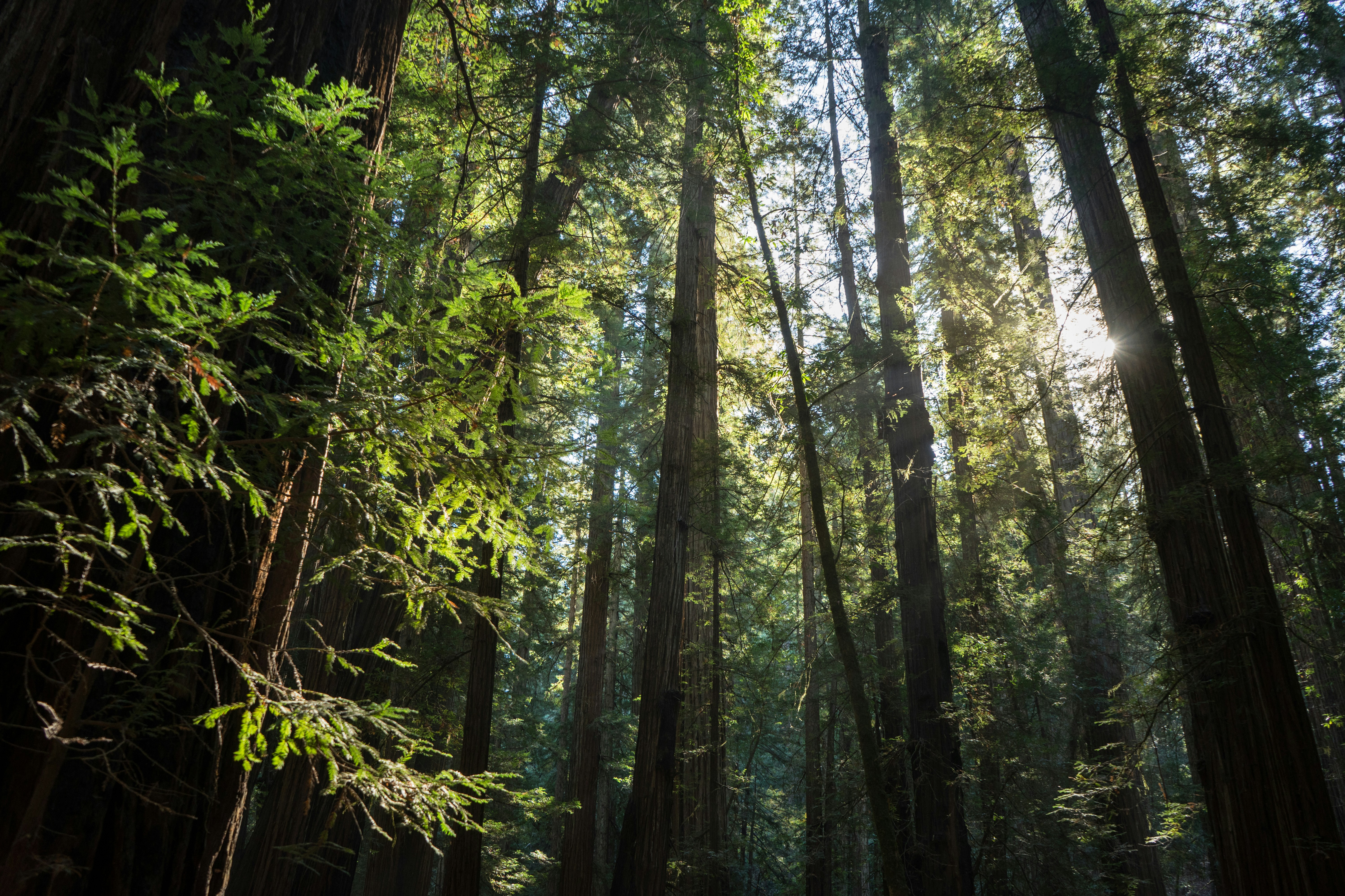 mariashayna@unsplash