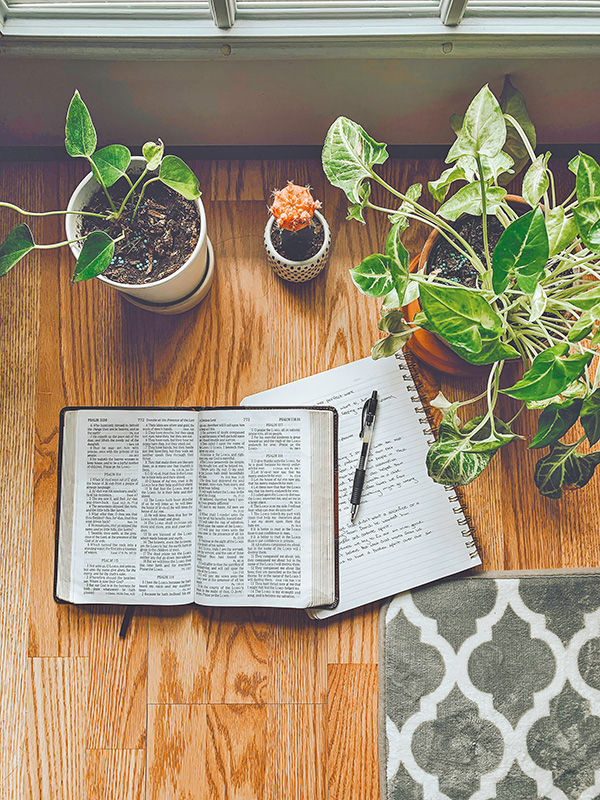 Photo by Rachel Strong on Unsplash